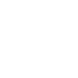 Chewy, Inc. Share Price